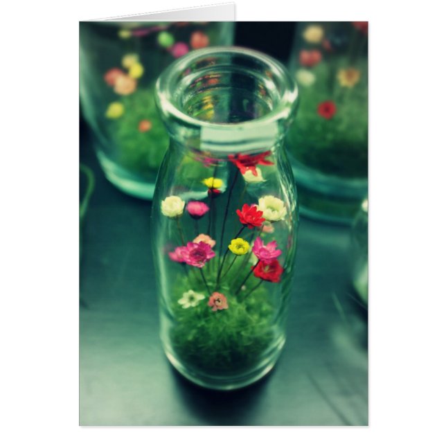 びん詰めにされた花 (正面)