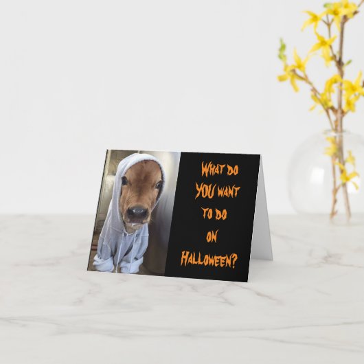 ふくらはぎはハロウィーンの準備ができている カード (黄色い花)