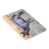 ふくらはぎエルク |ワイオミング州マディソンジャンクション マグネット (右側)