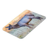 ふくらはぎエルク |ワイオミング州マディソンジャンクション マグネット (左側)