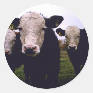 ふくらはぎトリオ ラウンドシール