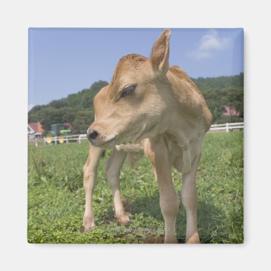 ふくらはぎ立ち マグネット (正面)