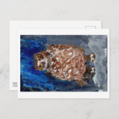 ふくろうの深いブルーの背景はがき ポストカード (正面/裏面)