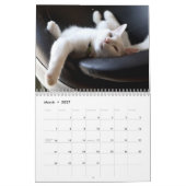 ふざけた怠け猫 2027 カレンダー (3月 2027)