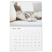 ふざけた怠け猫 2027 カレンダー (1月 2027)