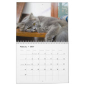 ふざけた怠け猫 2027 カレンダー (2月 2027)