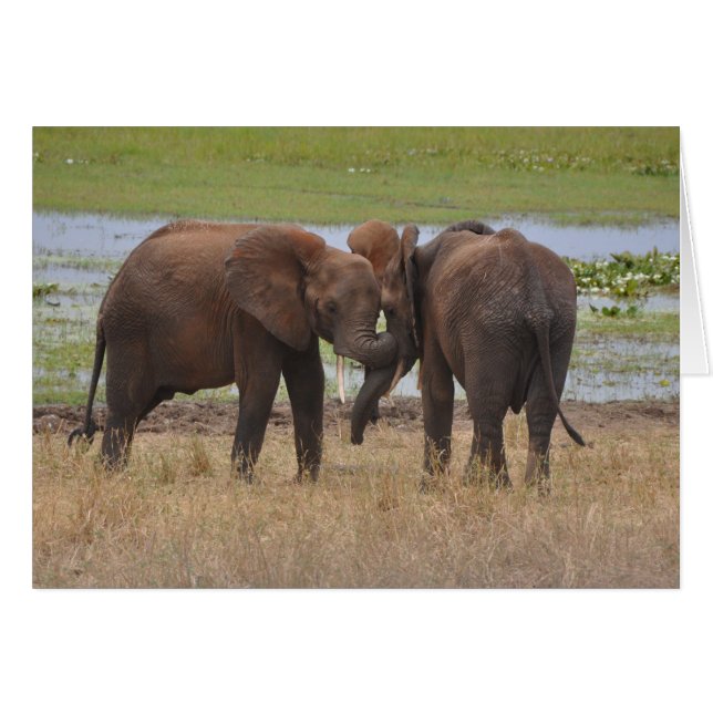 ふざけること (正面横)