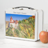 ふすま城2違う写真 メタルランチボックス (インサイチュ)