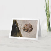 ふちの上の蛙 カード (正面)