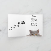 ふわっおもしろいとした猫誕生日折りグリーティングカード カード (内部)