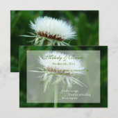 ふわっかわいらしふわの白い植物種子ヘッドRSVPカード 出欠カード (正面/裏面)