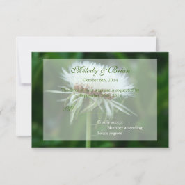 ふわっかわいらしふわの白い植物種子ヘッドRSVPカード 出欠カード