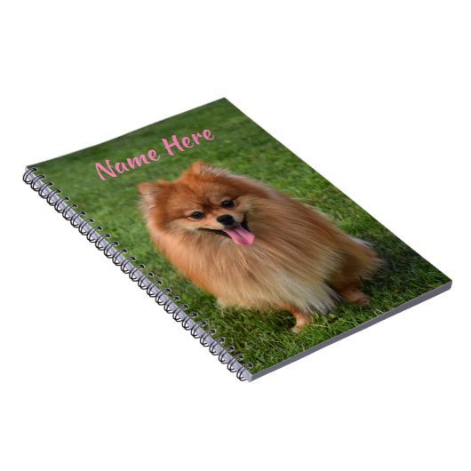 ふわっパーソナライズされたとした茶色のポメラニア犬犬 ノートブック (右側)