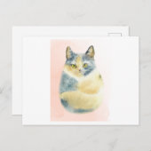 ふわふおもしろいわの猫の水色 ポストカード (正面/裏面)