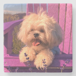ふわふわかわいいシーズー おもちゃの子犬、幸せな犬が座っている ストーンコースター
