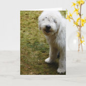 ふわふわしたフリジーの悪いヘアデイドッグ カード (黄色い花)