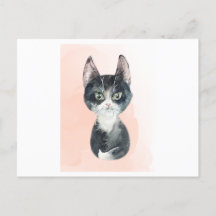 ふわふわした猫の水おもしろい彩