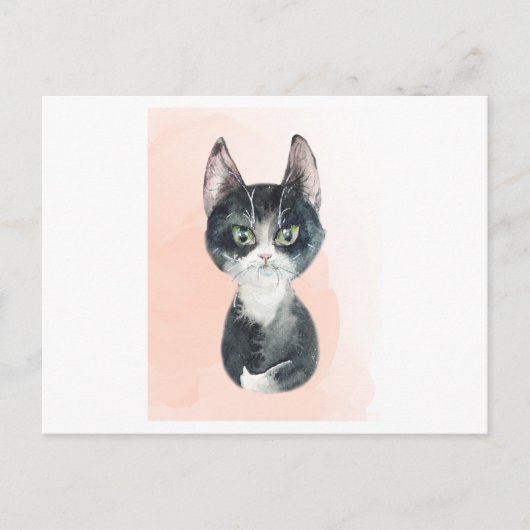 ふわふわした猫の水おもしろい彩 ポストカード (正面)