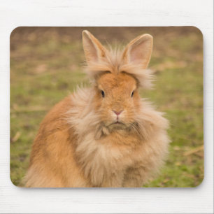 ふわふわした赤いライオン頭のバニー·ウサギ マウスパッド