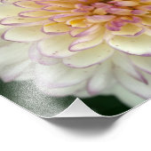 ふわふわした フォトプリント            (角)