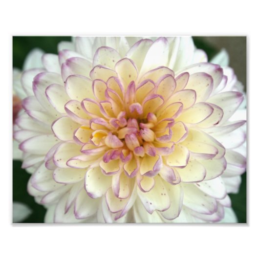 ふわふわした フォトプリント            (正面)