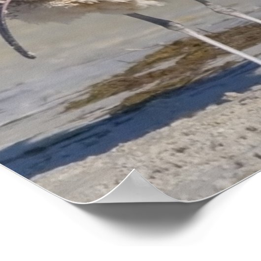 ふわふわした ポスター (角)