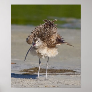ふわふわした ポスター