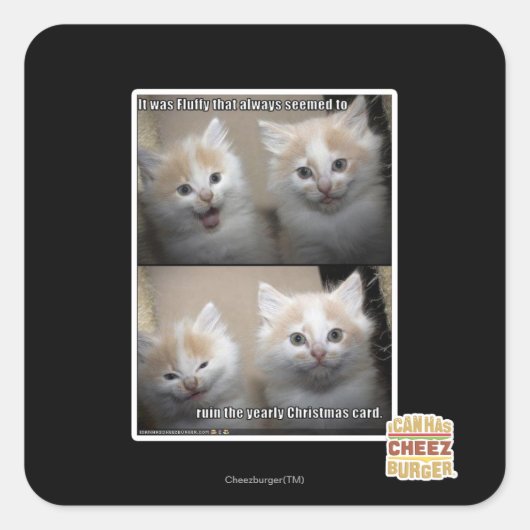 ふわふわだった スクエアシール (正面)