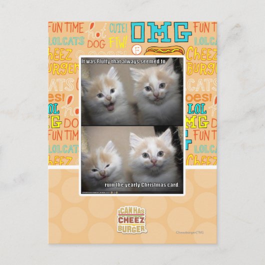 ふわふわだった ポストカード (正面)