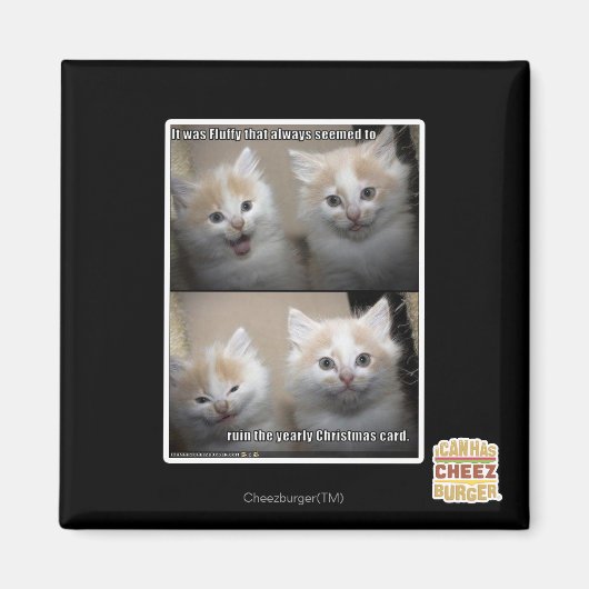 ふわふわだった マグネット (正面)