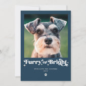 ふわふわで明るい犬の写真 楽しいクリスマス シーズンカード (正面)