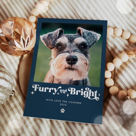 ふわふわで明るい犬の写真 楽しいクリスマス シーズンカード