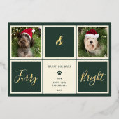 ふわふわで明るい緑の金箔の写真の犬 箔シーズンカード (正面)