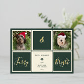 ふわふわで明るい緑の金箔の写真の犬 箔シーズンカード (立ち正面)