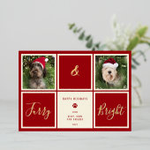 ふわふわで真っ赤な金箔の写真の犬 箔シーズンカード (立ち正面)