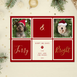ふわふわで真っ赤な金箔の写真の犬 箔シーズンカード