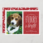 ふわふわと明るいペットの写真カード シーズンカード (正面/裏面)