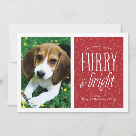 ふわふわと輝くペットの写真カード シーズンカード (正面)