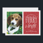 ふわふわと輝くペットの写真カード シーズンカード<br><div class="desc">この「ふわふわと輝く」というフレーズが入ったモダンな写真カードで、あなたのペットの写真を自慢しちゃおう</div>