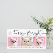 ふわふわと輝く | 3枚の写真を使ったペットのコラージュ シーズンカード (スタンド正面)