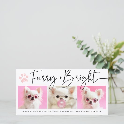 ふわふわと輝く | 3枚の写真を使ったペットのコラージュ シーズンカード (スタンド正面)