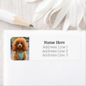 ふわふわなブラウンポードルパピードッグ差出人住所 ラベル (インサイチュ)