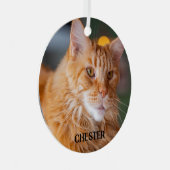 ふわふわのオレンジ虎猫メーンクーンキャット メタルオーナメント (正面右)