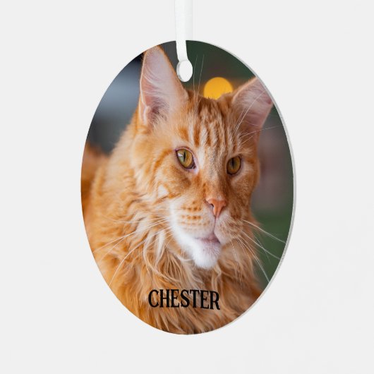 ふわふわのオレンジ虎猫メーンクーンキャット メタルオーナメント (正面左)