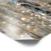 ふわふわのカタテール春自然8x8 フォトプリント (角)