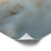 ふわふわのサモイの子犬が安らかに眠っていた ポスター (コーナー)