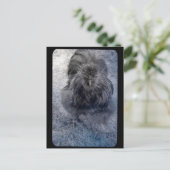 ふわふわのシルキー・ルースター氏 ポストカード (スタンド正面)