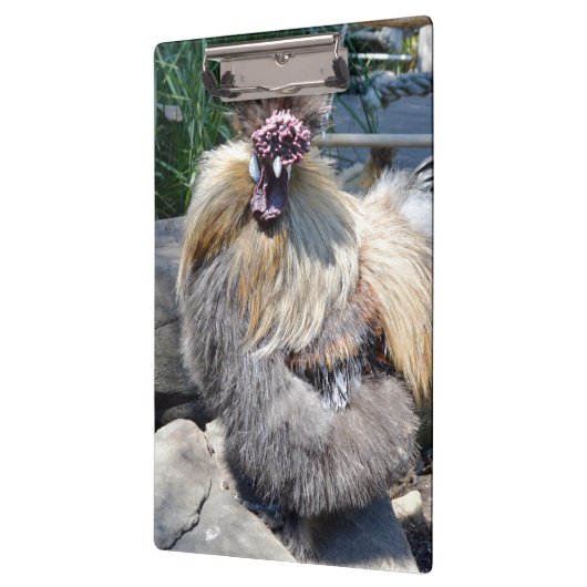 ふわふわのチャーム不完全性：絹ユニークのようなニワトリ クリップボード (左)