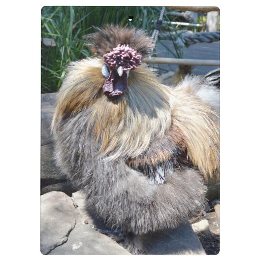 ふわふわのチャーム不完全性：絹ユニークのようなニワトリ クリップボード (裏面)