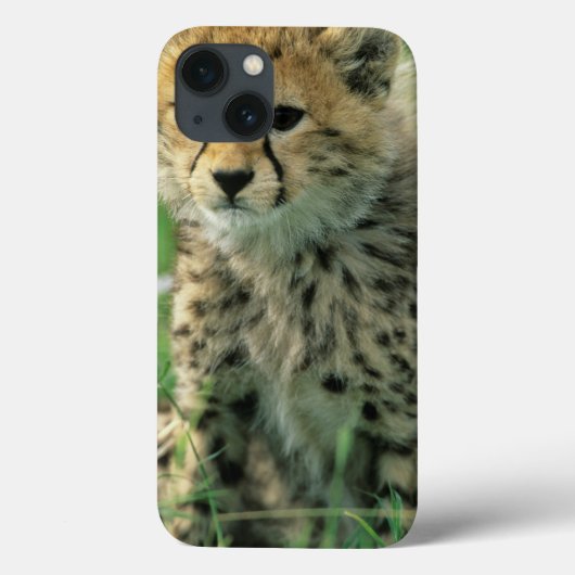 ふわふわのチーターの子 Case-Mate iPhoneケース (裏面)
